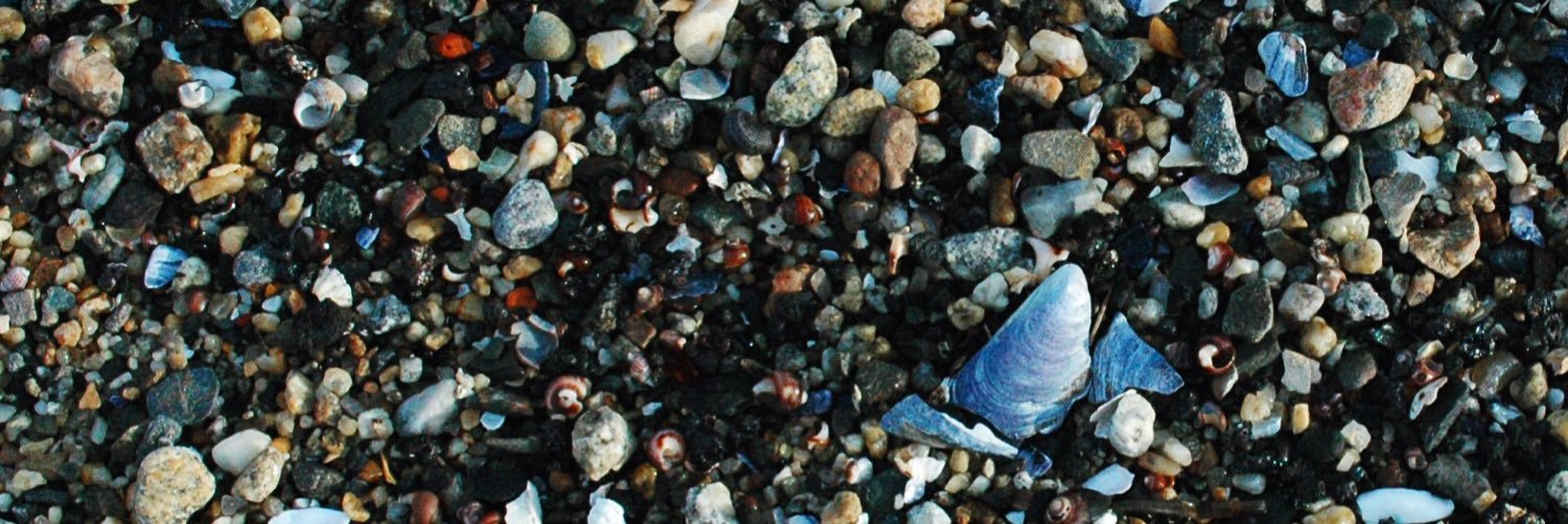 kayleewolfe's profile banner image