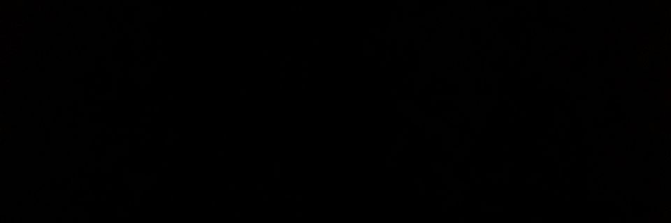 lisabeephoto's profile banner image
