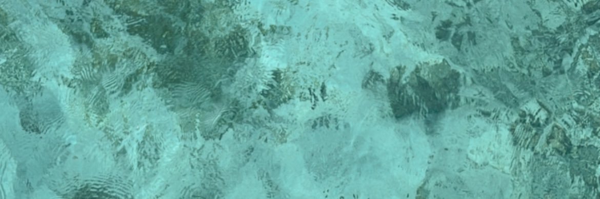 celine_308's profile banner image