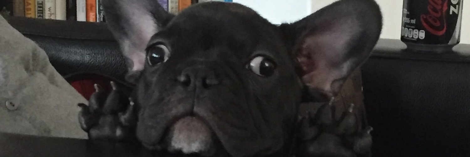 Alfonso Cebreros banner