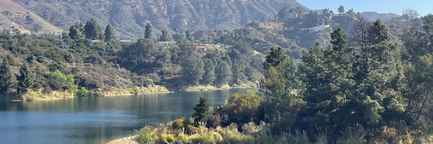 Marcus Manders banner