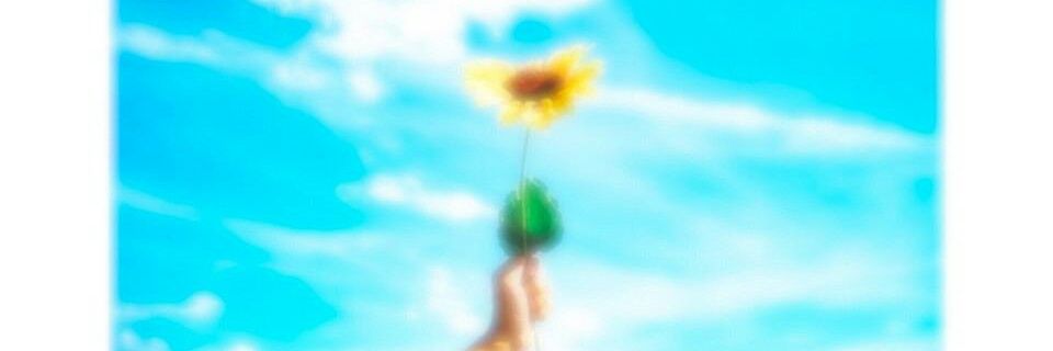 ayumi9483's profile banner image