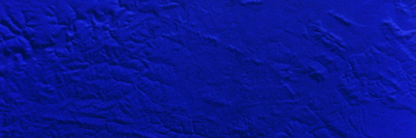 RealToniGarrn Profile Banner