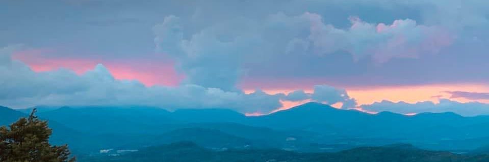 Shelly Hoerner banner