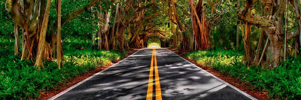 Mario Murgado banner