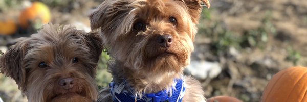 George2Charlie Profile Banner