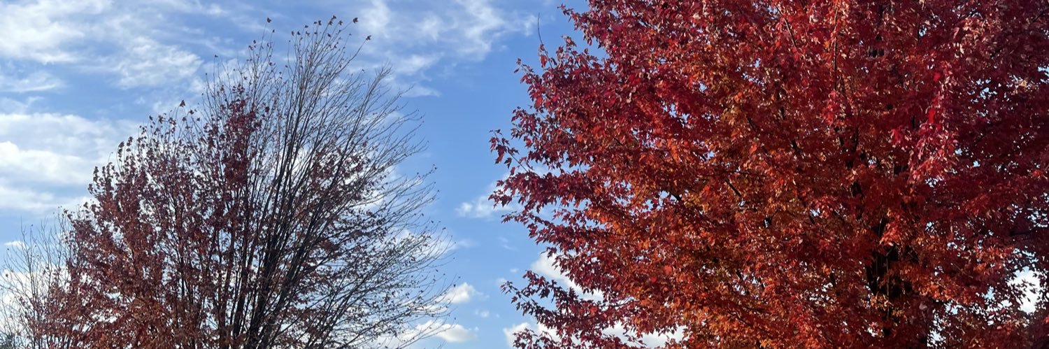 michimejiar's profile banner image