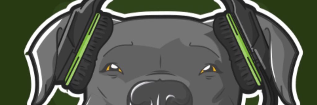 B1BUDS's profile banner image