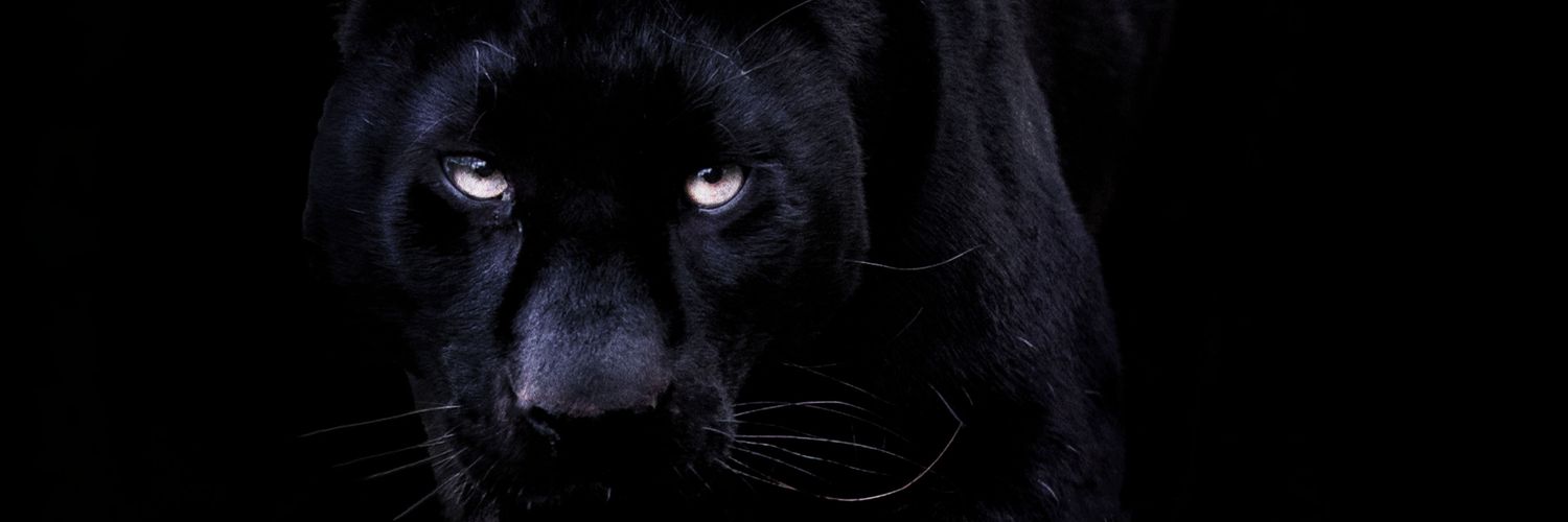 KeizoTheGoat's profile banner image