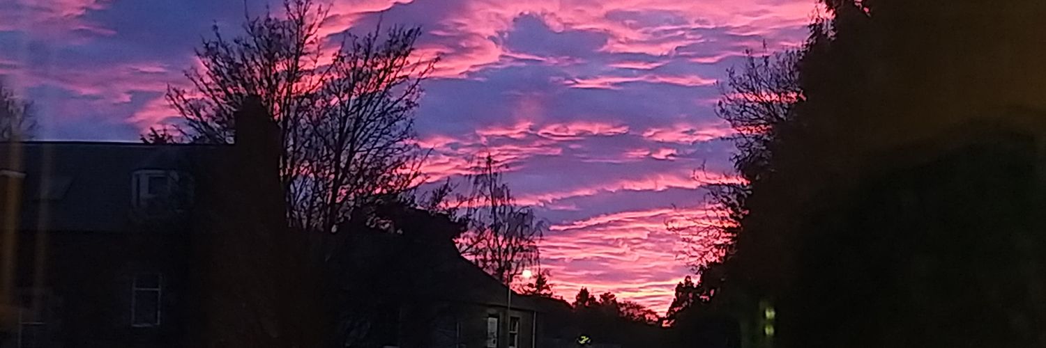 Sandy Armstrong banner