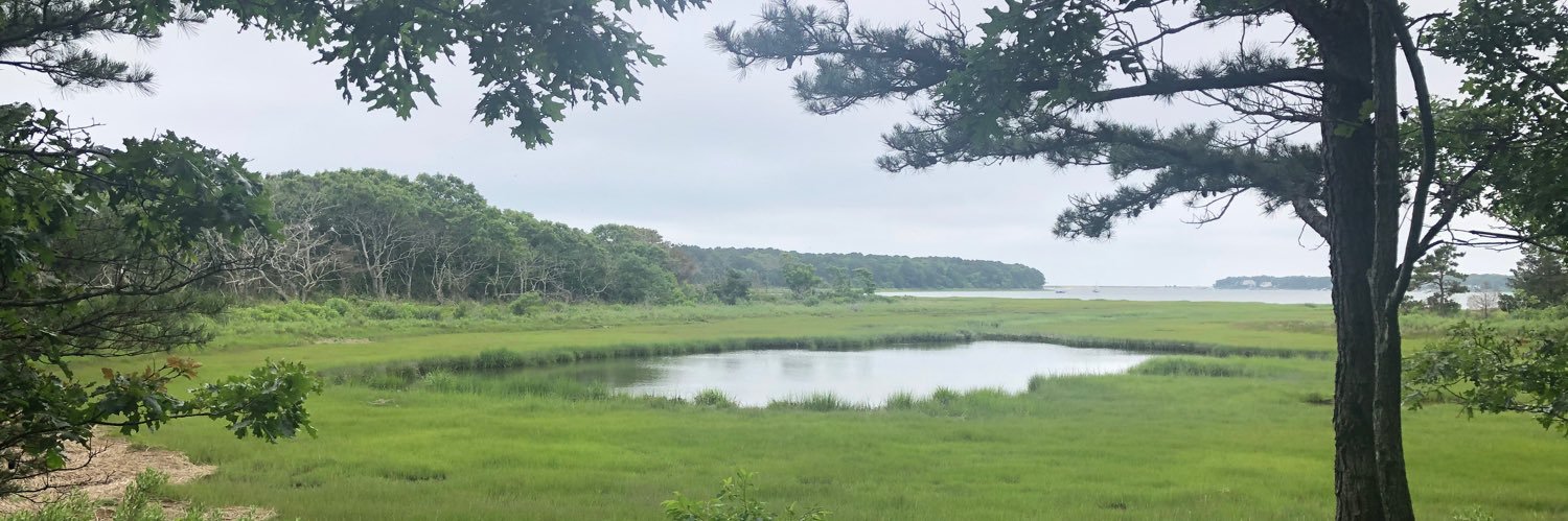 Margaret Capp Fitzgerald banner