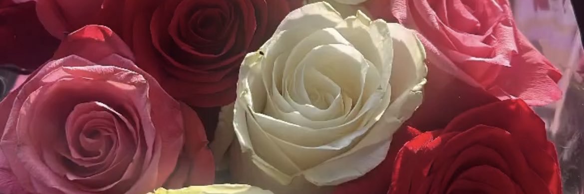 lyndsmk's profile banner image