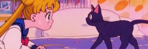 NatalieSMota's profile banner image