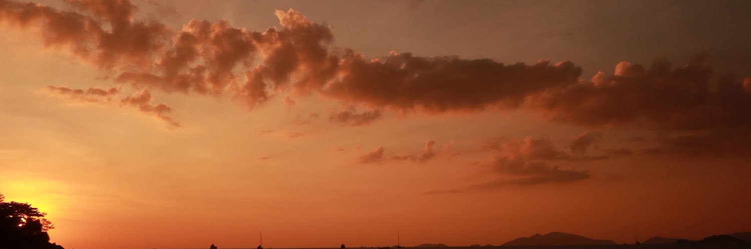 bvrfin's profile banner image