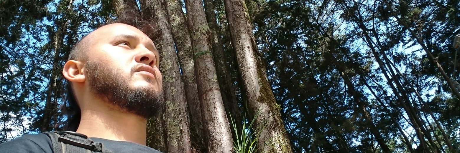 gehins's profile banner image