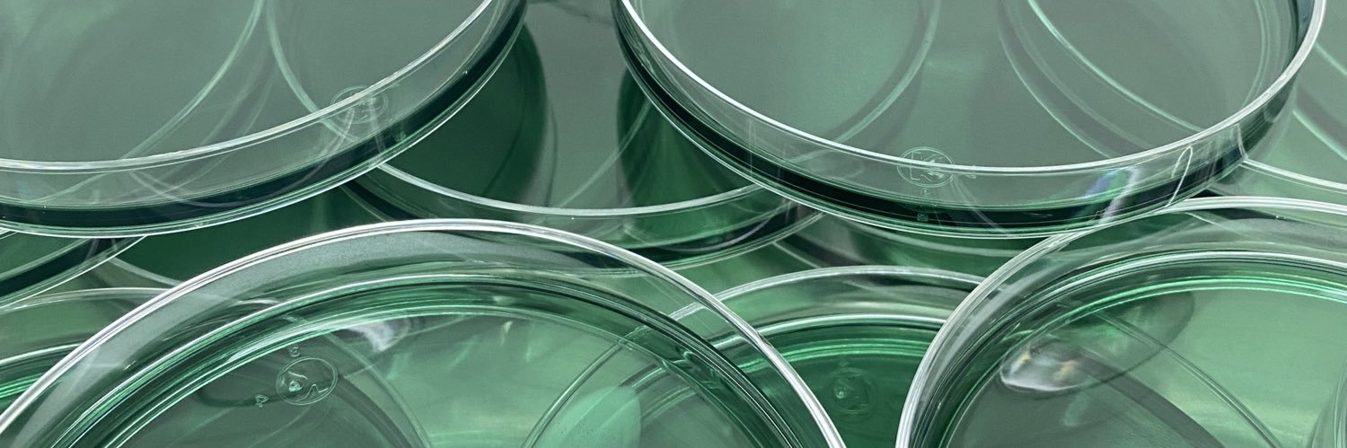 maferlomeeli's profile banner image