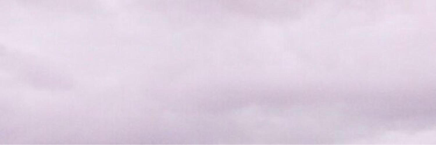 Ariana Grande banner