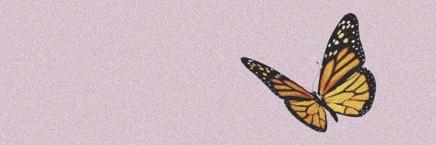 floacnh's profile banner image