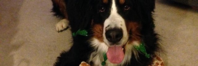 TityBoiBrown's profile banner image