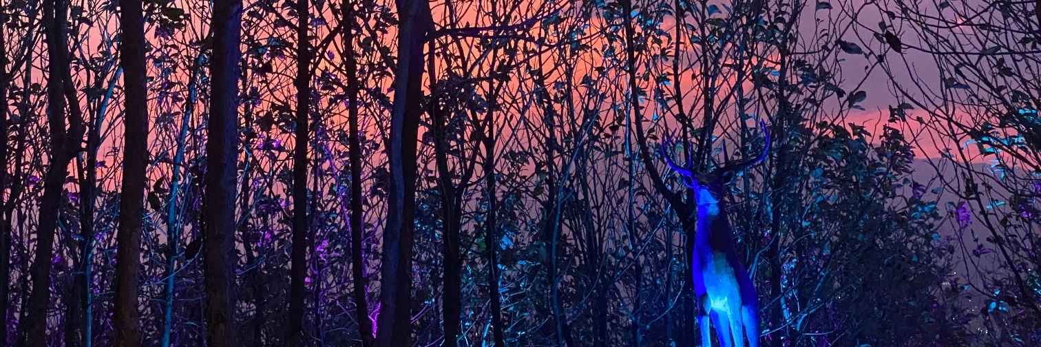 ucenrahman's profile banner image