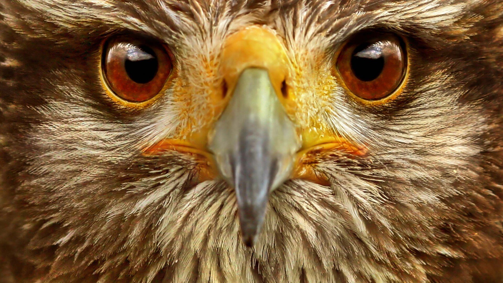 spudro4's profile banner image
