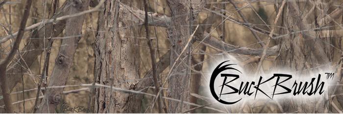 jpbowlin88's profile banner image