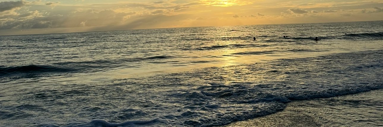 muniik_mattos's profile banner image