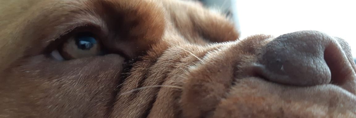 Daniel_2397's profile banner image