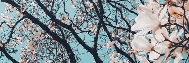 iriumgeher's profile banner image