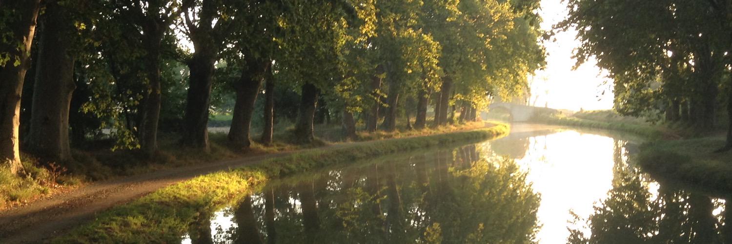 Laetitia Zeeman banner