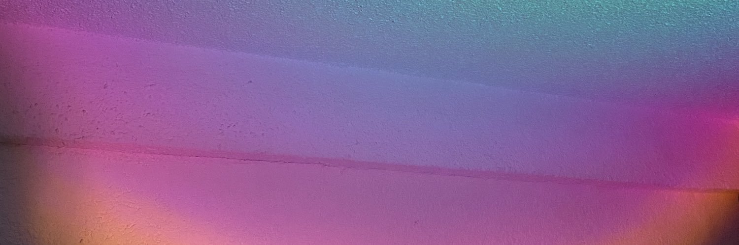 RMichelle19's profile banner image