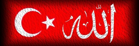 yrlhala's profile banner image