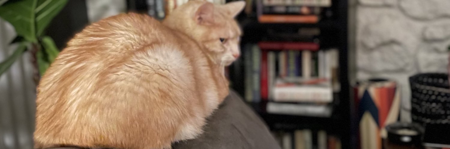 Haleyjdennis's profile banner image