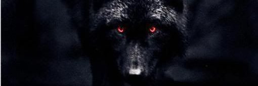 Z3Westmo's profile banner image