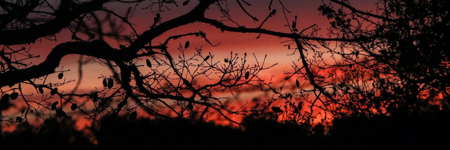 DustinFoxxo's profile banner image