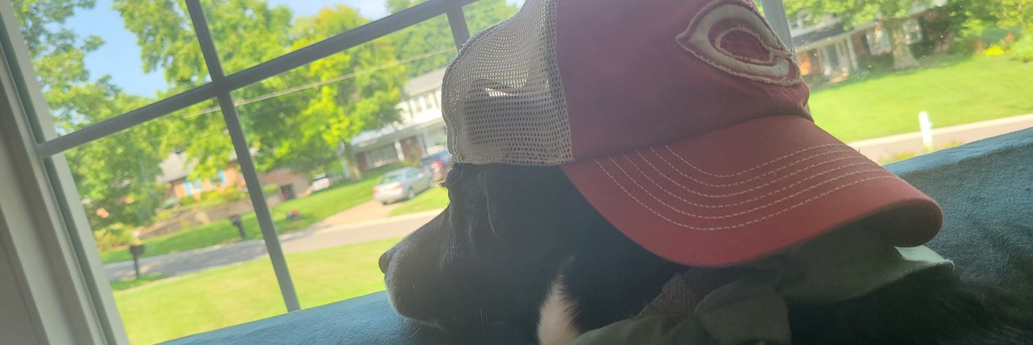 earlso's profile banner image
