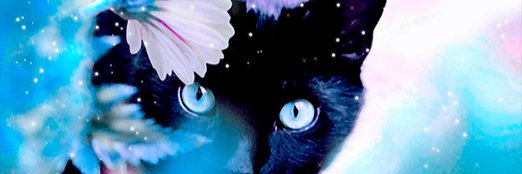 IssFiFi's profile banner image