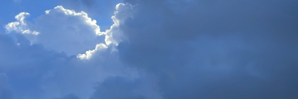 maycal2's profile banner image