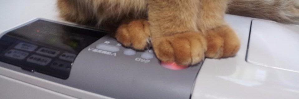 ryu_coolg_3's profile banner image