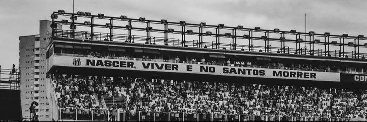 TonettiVictor's profile banner image