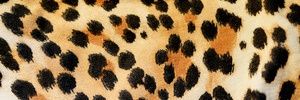 KayleighL08's profile banner image