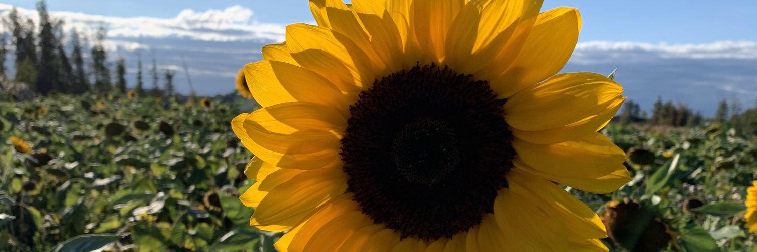ktomly's profile banner image