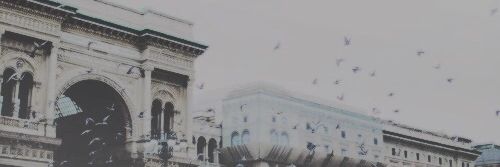 SoloDmGroups_'s profile banner image