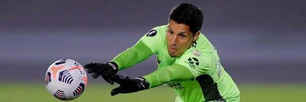 fausercoli Profile Banner