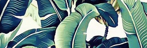 bbyfacemace's profile banner image