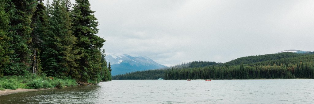 wildlandwheels's profile banner image
