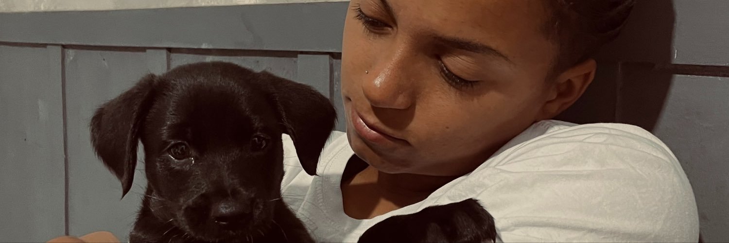 capacciam's profile banner image