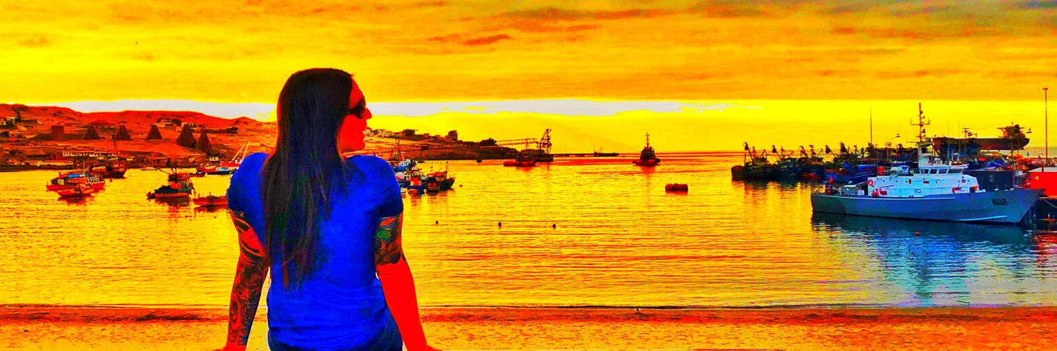 dillenipmar's profile banner image