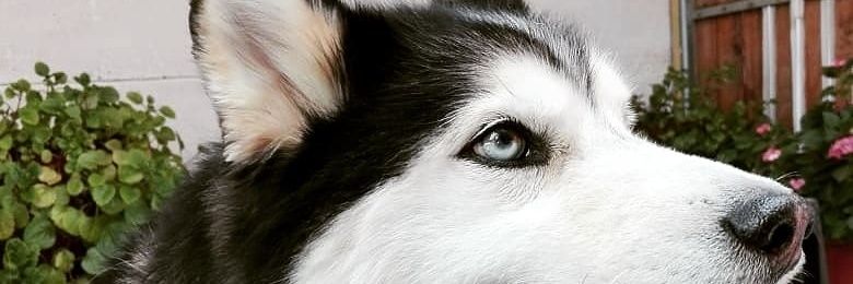 mpalborn's profile banner image