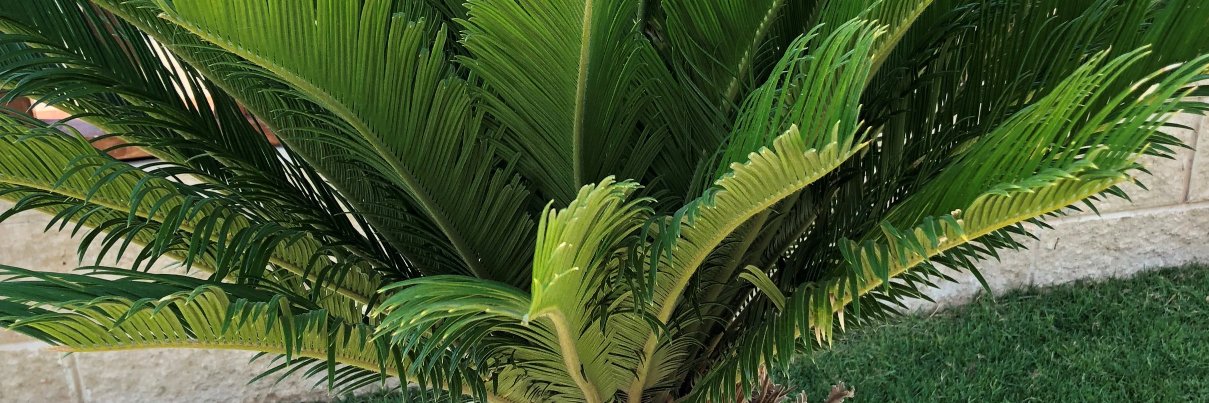 lyndar670's profile banner image